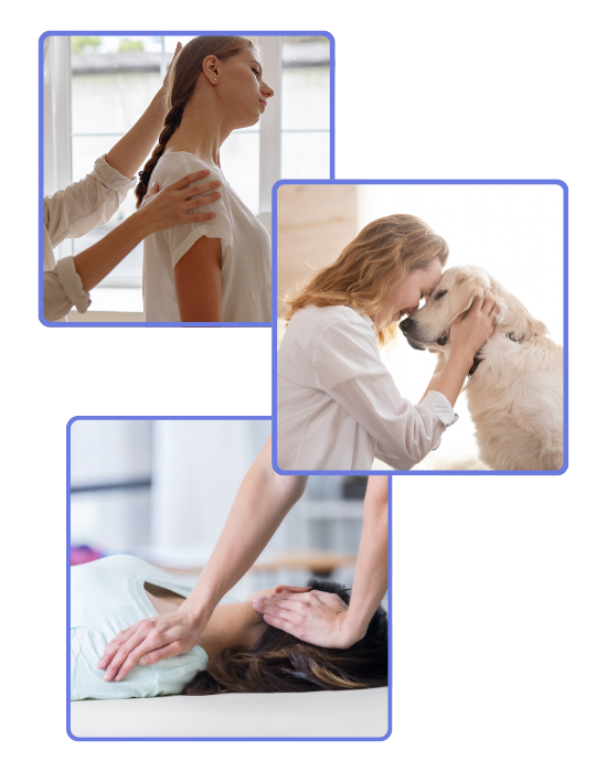 Vibrant Energy Healing Center